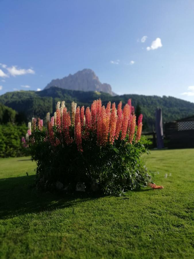 Cedepuent De Sot Lägenhet Selva di Val Gardena Exteriör bild