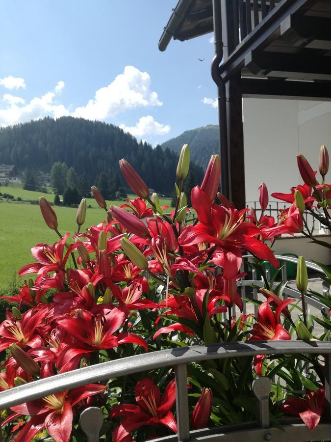 Cedepuent De Sot Lägenhet Selva di Val Gardena Exteriör bild
